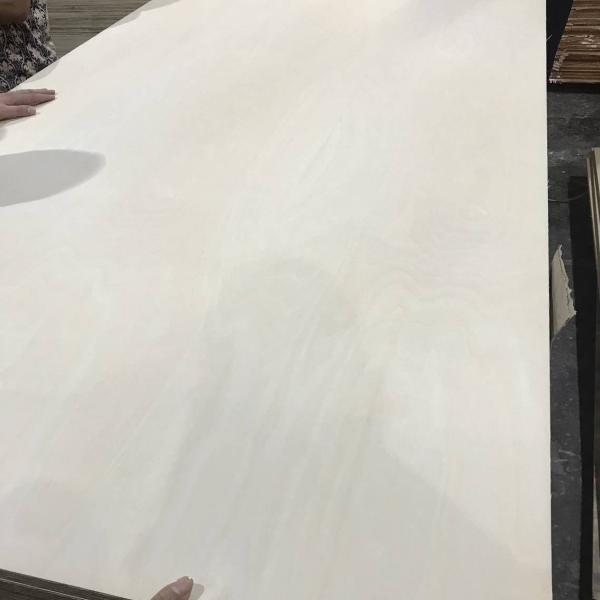 Full Poplar Core 1220*2440mm  E0 CARB Laminate Faced Birch Plywood