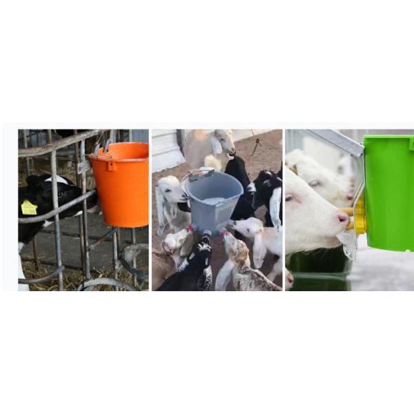 Кормление телят в ведро с сосками в ведро с сосками / молочный бар для кормления телят