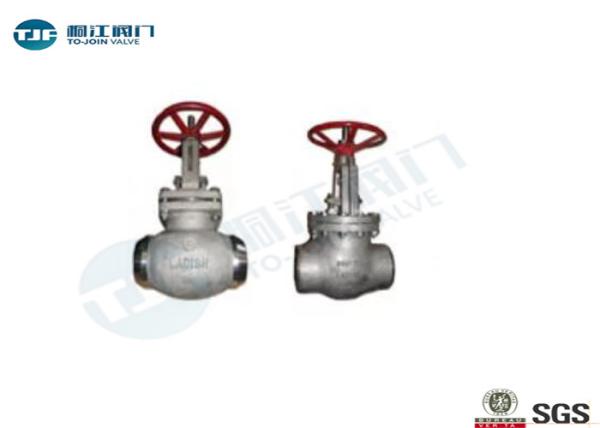 Stop Check Valve Stainless Steel 304  with  Manual Operation  Flanged Connection