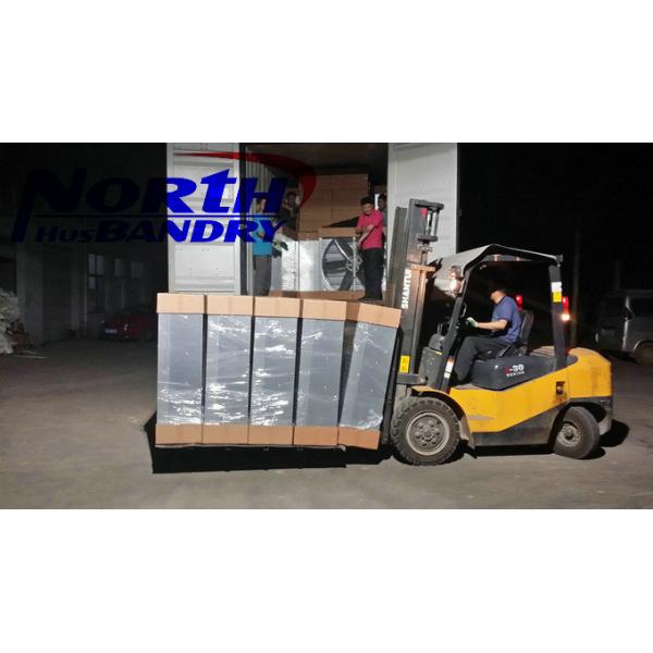 injection of poultry