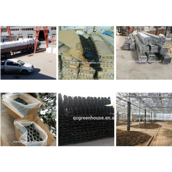 Flower Large Polycarbonate Greenhouse Strong Thermal Insulation Sides Ventilation