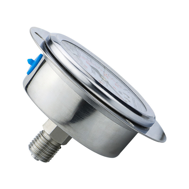 60mm Back Connection Pressure Gauge with Flange 250bar 304ss Liquid-Filled Manometer