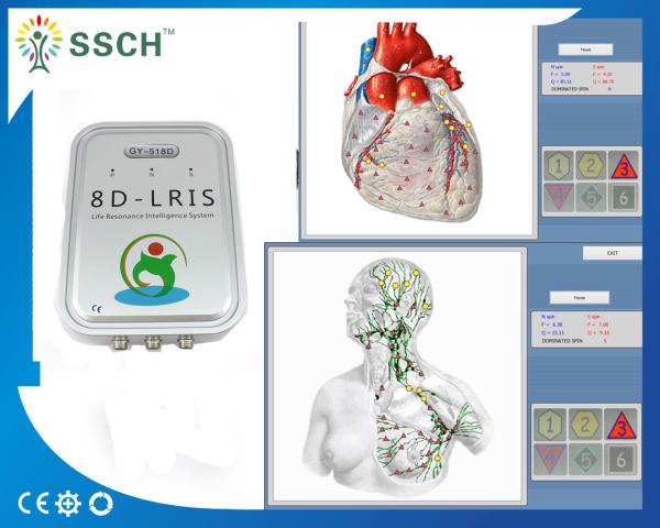 8D NLS Health Analyzer Machine For SPA Club Home Quantum Resonance Vector System