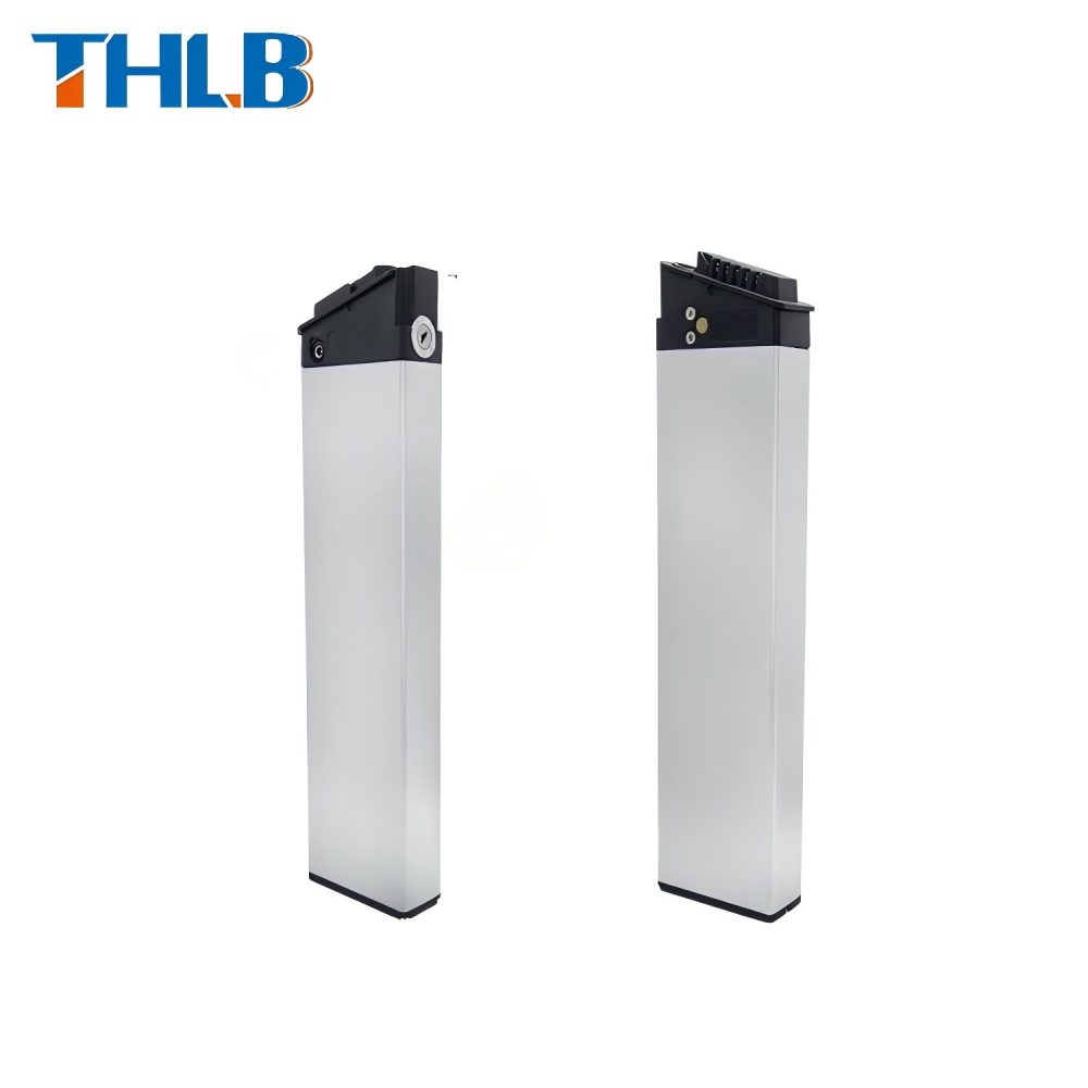 Folding Electric Bicycle Battery Lithium Iron Phosphate 10ah 36v 48v Rechargeable