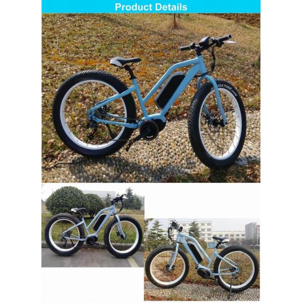 1:1 PAS Electric Fat Tire Mountain Bike Light Blue Color 48V 15A Controller
