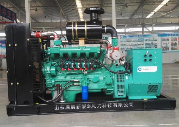 150kw 160kw Biogas Plant Electric Generator Set for Sale