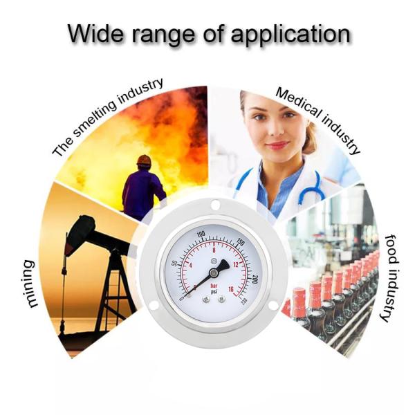 2.5-inch 16bar Back Connection 304ss Hydaurlic Manometer for Heavy Duty Applications
