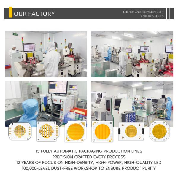 Dans le stock 4055 Cob LED Chip Cct double chaud blanc froid blanc Dimmable 300w Cob Led Chip Cri95 2700k + 6500k