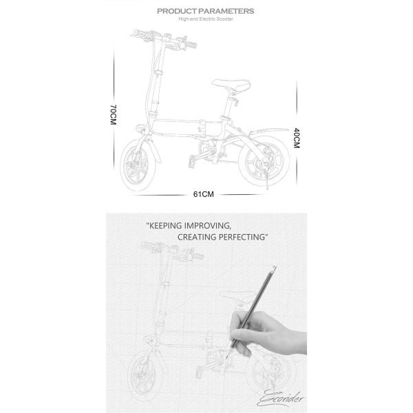 Smart Foldable Electric Biker 2 Wheel Electric Bike With Removeable Lithium Battery