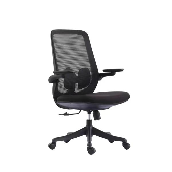 Mid Back Ergonomic Mesh Task Chair 2D Ergonomic Luxury Office Chair