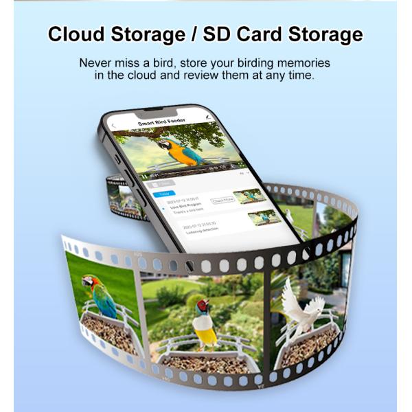 IP66 impermeable 4MP Smart Bird Feeder 2.5L Vida silvestre cámara inteligente para pájaros