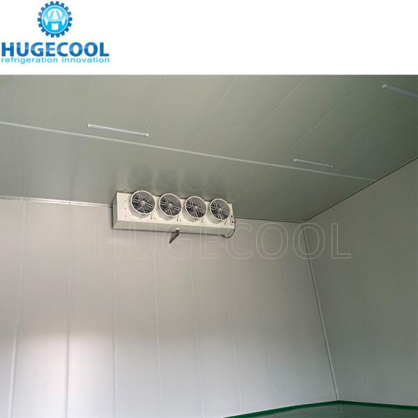 Congelador de Sala Fria Confiavel Congelador de Sala de Explosão para as Soluções de Armazenamento