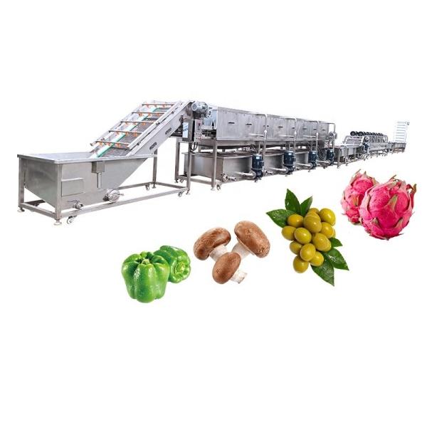 バブル洗浄と空気乾燥 果物と野菜加工ライン