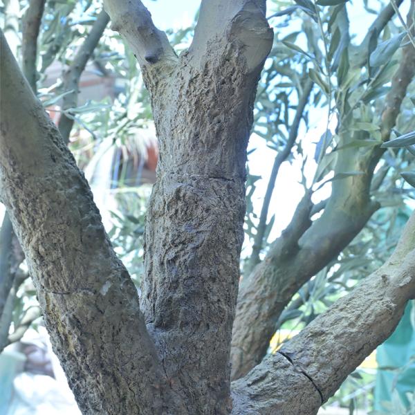 Large Fake Tree indoor olive trees artificial Faux Tree with Natural Wood Trunk and Realistic Leaves