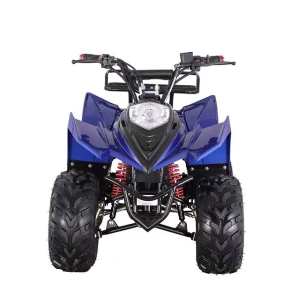 Electric Mountain Truck Off-Road Vehicle with Rear Disc Brake and 600-1000mm Wheelbase