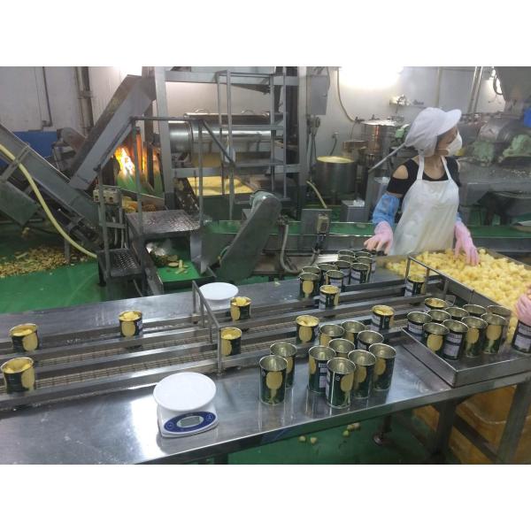 Full Automatic Dried Pineapple Processing Machinery Energy Saving Easy Operation