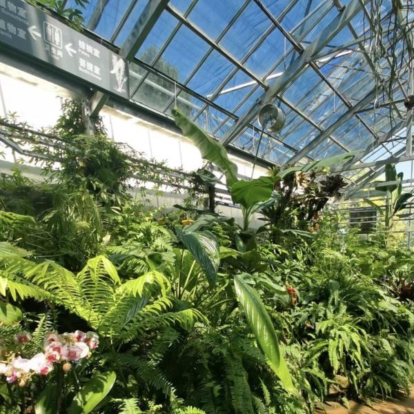 Стеклянная крышка теплицы однослойная гидропонная система для теплицы