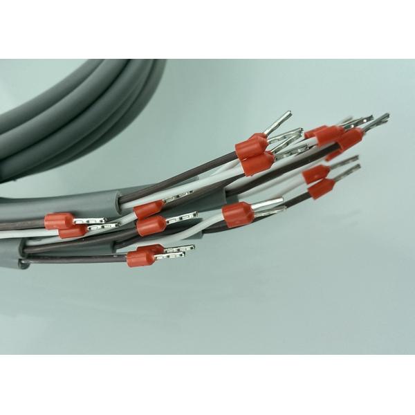 RTD Class B PT100 Platinum Resistance Micro Temperature Sensor 2 Meter Length With 6x50mm Stainless Steel 304 Housing