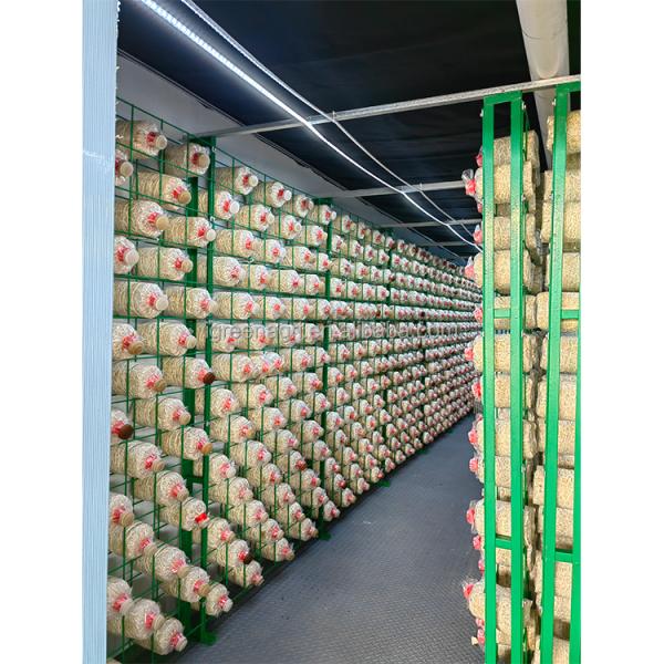 IGREEN Mushroom Grow Tent Mushroom Grow Room Mushroom Growing Container