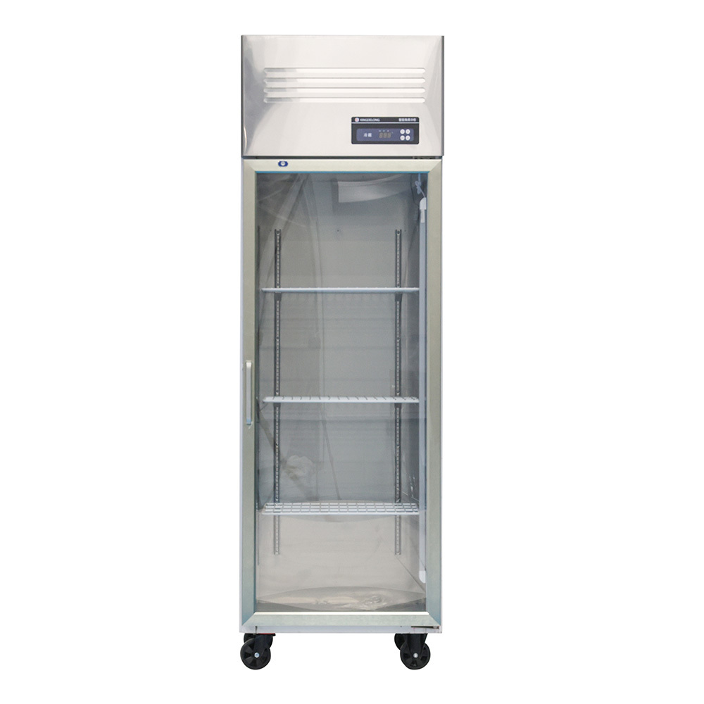 Commercial Stainless Steel Upright Freezer with Digital Temperature Control and Frost Free Cooling