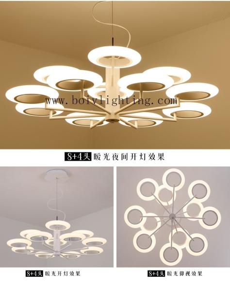 Mang LED  Can  Make Ceiling Or Pendant Lightings 120W LED Lamp BV2103-8+4