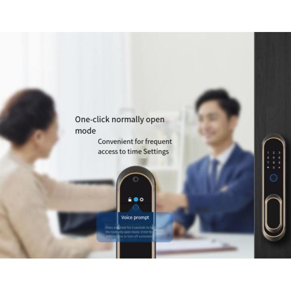 ELA E-556 Automatic Door Smart Lock Opens By Touch Without Pressing Handle