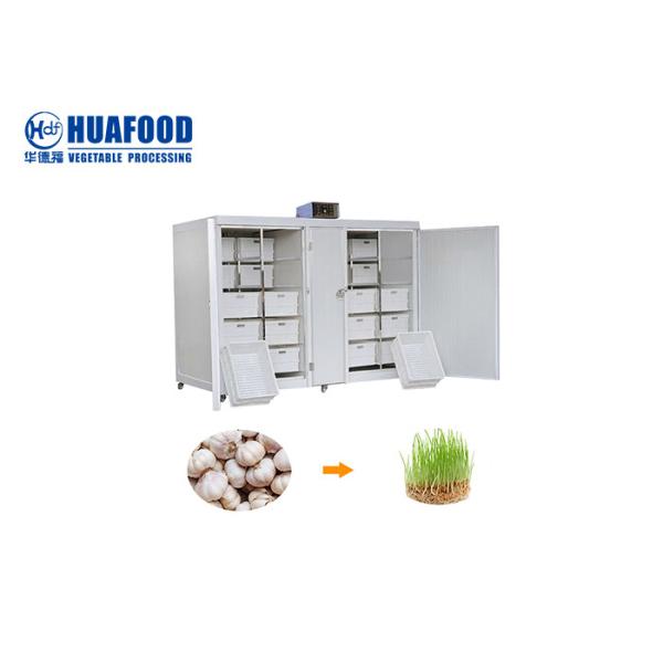 250kg/Day Automatic Food Processing Machines Mung Bean Sprout Machine