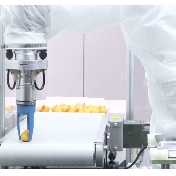 Pequeno braço robótico industrial de 6 eixos VS-050/060 com agarrador robótico CNGBS como robô universal