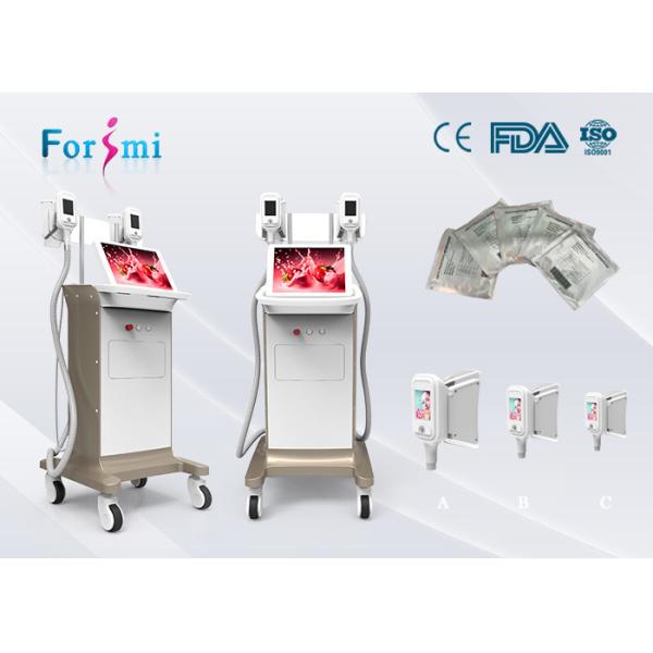 15 inch big screen cryolipolysis slimming machine in best price