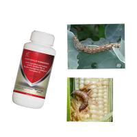 AcNPV SC Insecticides végétaux naturels pour les plantes à fleurs Biopesticides agricoles