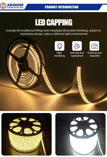 High Voltage Brightness Flexible Bande Luces Tape Led Strip Lights with Custom Size PVC
