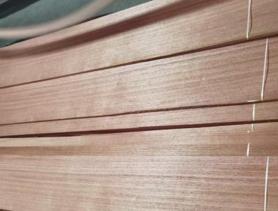 Flat Cut / Quarter Slicing Veneer de madeira natural em cedro espanhol para alto desempenho