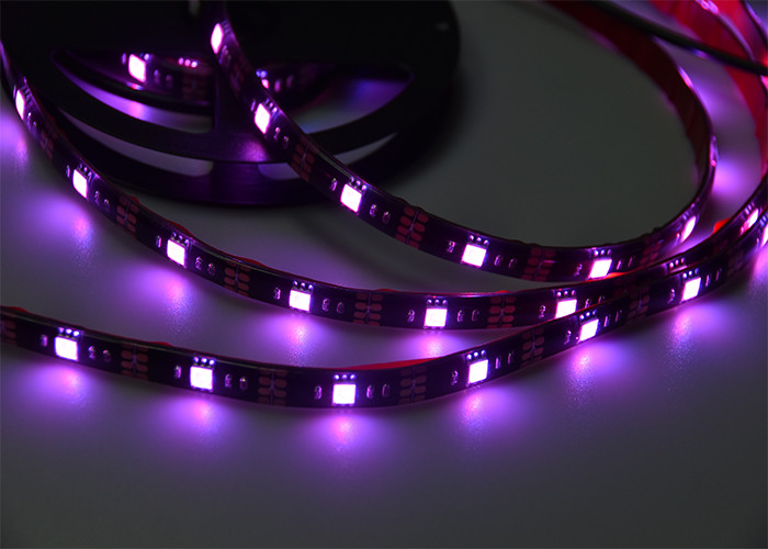 24 света приведенных прокладки ТВ 3m/Roll ключей 30beads/M удаленных изменяя