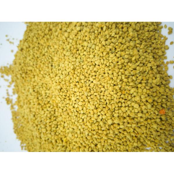 100% Pure Natural Rapeseed Pollen with 8% Moisture and Yellow Color for Beekeeping and Human Consumption