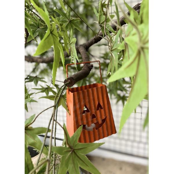 Декоративный хеллоуин орнаментирует крытый/на открытом воздухе Джек-O-фонарик ме