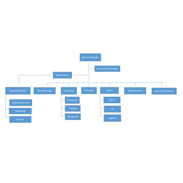 Beauty Sky Packing (Shenzhen) Co., Ltd.