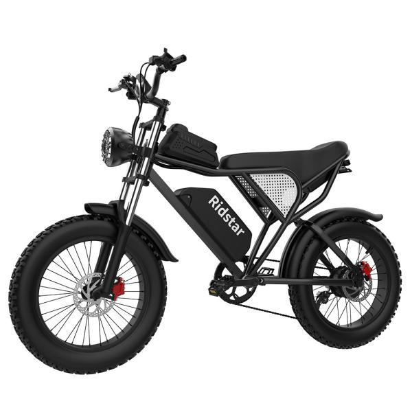 1000W 20'' Fat Tire Electric Mountain Bike 20MPH Adults Electric Bicycle