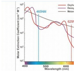 лазер длины волны 980nm для Varicose вен/удаления вены паука для салона красоты