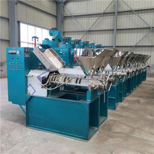 High Oil Rate Simple Operation 1700*1300*1850mm Screw Oil Press Machine Large Output