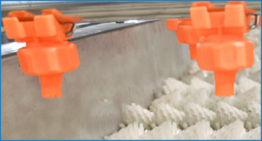 Parallel Roller Seafood 800kg Fruit And Vegetable Washer Machine