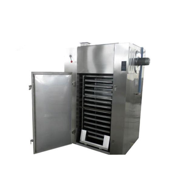 24 Trays 60kg/Batch Fruit And Vegetable Processing Machine