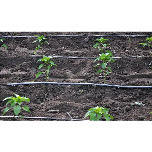 Amino Acid Chelate Zinc Manganese Boron Liquid Organic Fertilizer Transaprent Brown