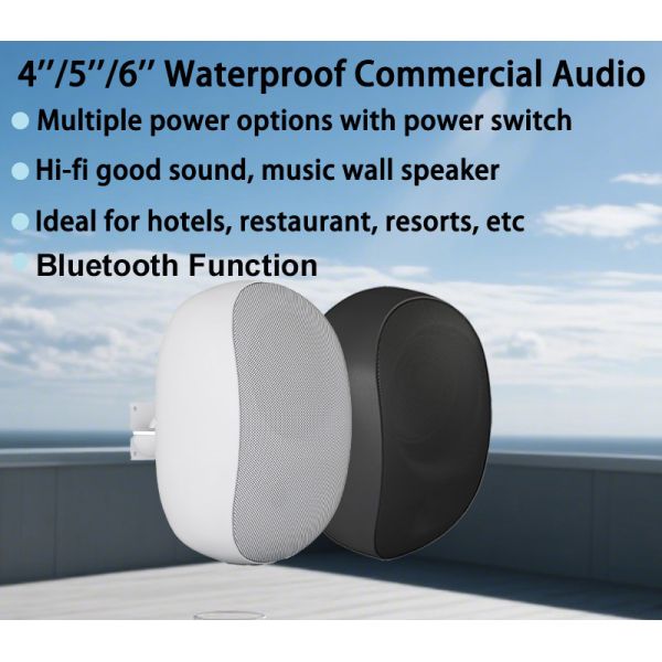 40w/20w/10w/5w 6 Inch Waterproof Commercial Audio Logo Customization OEM ODM Outdoor Use Bluetooth Function
