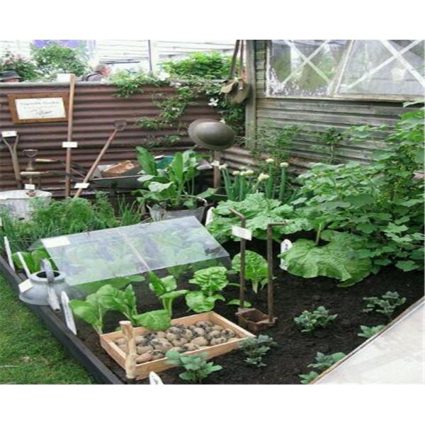 Galvanized Steel Horticultural Glass Greenhouse Waterproof Good Anti Corrosive Effect