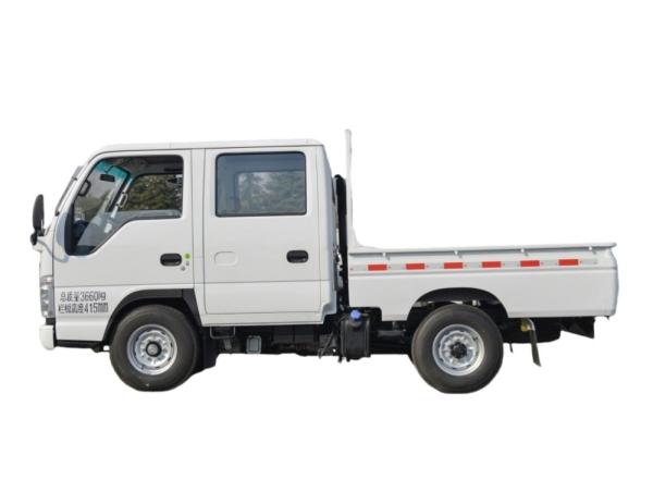 Factory Small Delivery Truck 4X2 Mini Diesel ISUZU Double Row Light Cargo Truck