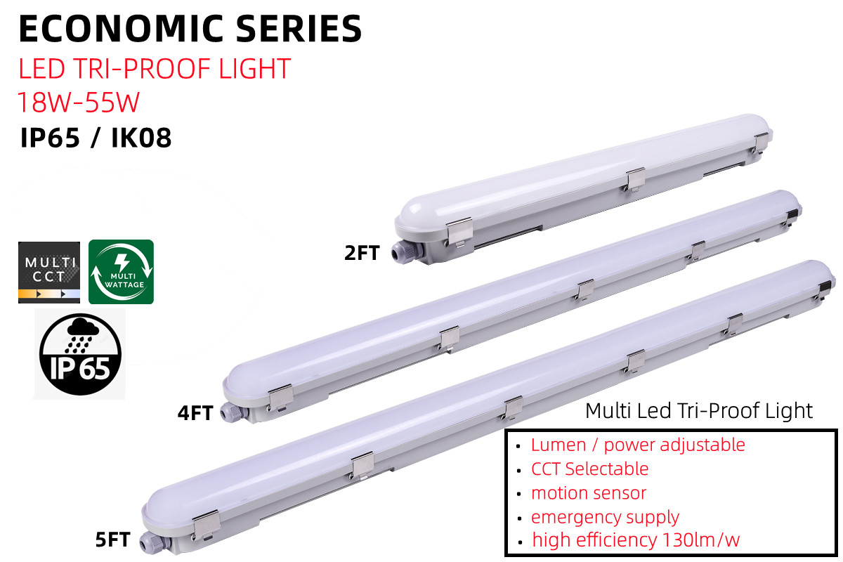 55W 80 Ra Car Washing LED Light with AC 110V Input Voltage Linear Vapor Tight Fixture
