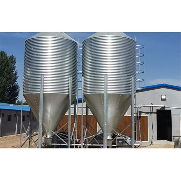 JISG3302 Z18 Оцинкованная стальная плита 1.95mm*1000mm Регулярный шпангел для автомобильной промышленности