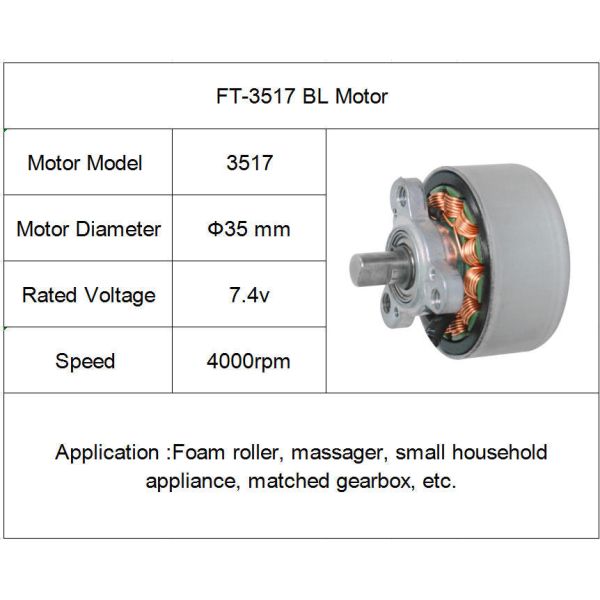 High Torque Brushless DC Electric Motor 12V 24 Volt Brushless Motor Customized