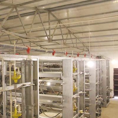 120 * 120 * 59cm H Type Battery Cages , Labor Saving Galvanized Chicken Cage