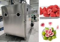 Máquina de secagem por congelamento de alimentos de aquecimento elétrico